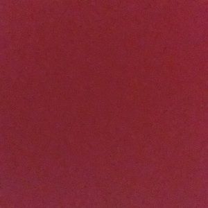 Meet your Posher, Simone